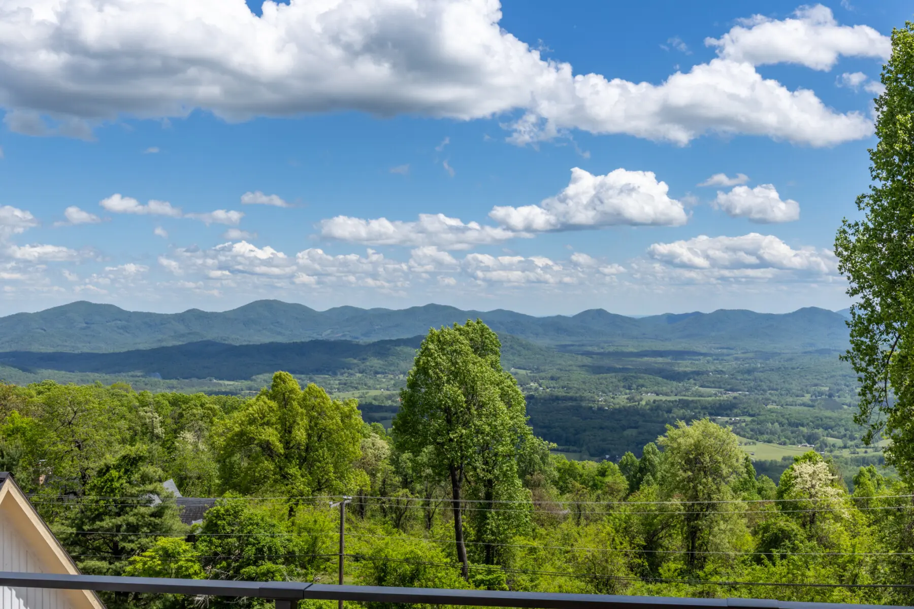 d0f21f78 9dab 49d0 ba42 a56a5111cd13.jpg